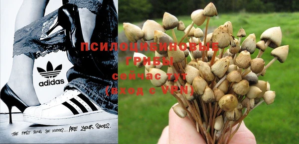 твердый Барнаул