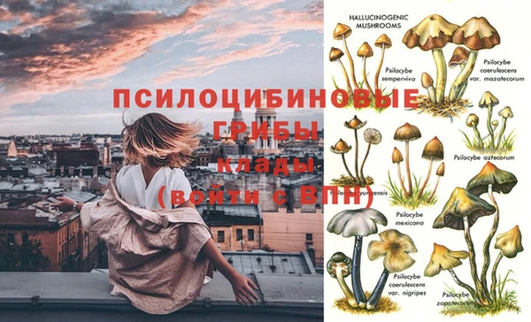 эйфоретик Красноперекопск