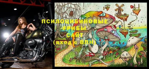 таблы Краснослободск