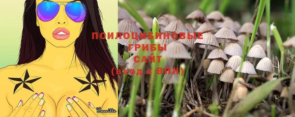 дурь Краснотурьинск