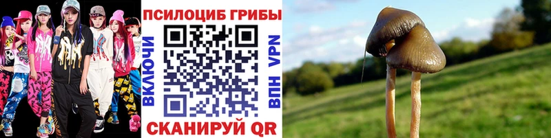 Псилоцибиновые грибы прущие грибы  магазин продажи наркотиков  Гаврилов Посад 