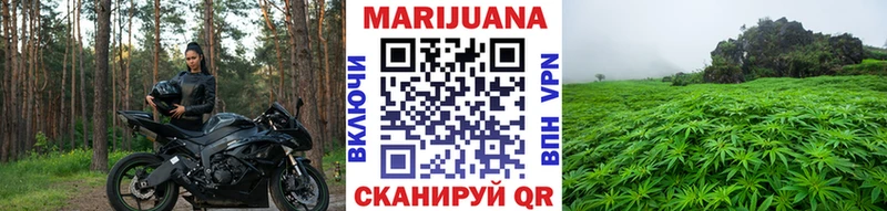 Каннабис план  Гаврилов Посад 
